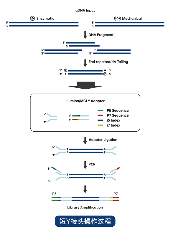 1747287585544910.png 圖片1.png