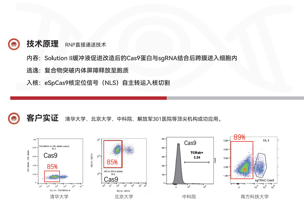 1752566834812055.png image.png