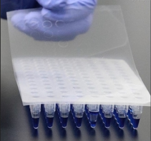 Ingenuitech PCR封板膜 壓敏、透明