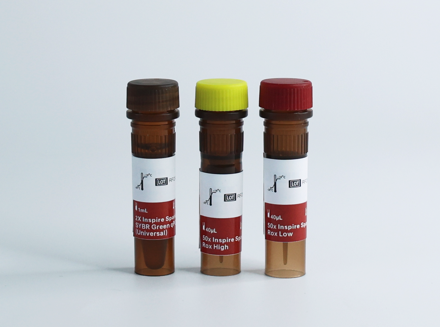 染料法 qPCR 預(yù)混液（通用型）